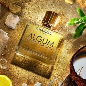 Algum Wood for God - Casaniche