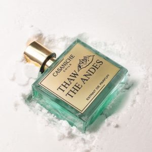 Thaw the Andes - Casaniche