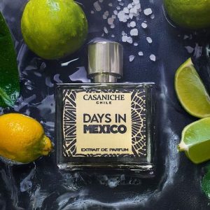 Days in Mexico. - Casaniche